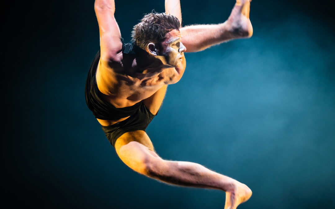 Wir wollen nie nie nie